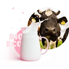 cow and milk